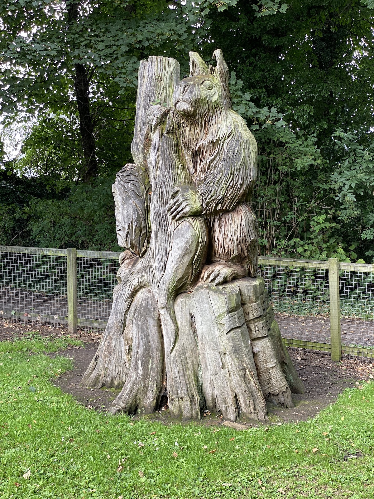 2022.08 High Legh playground tree carving