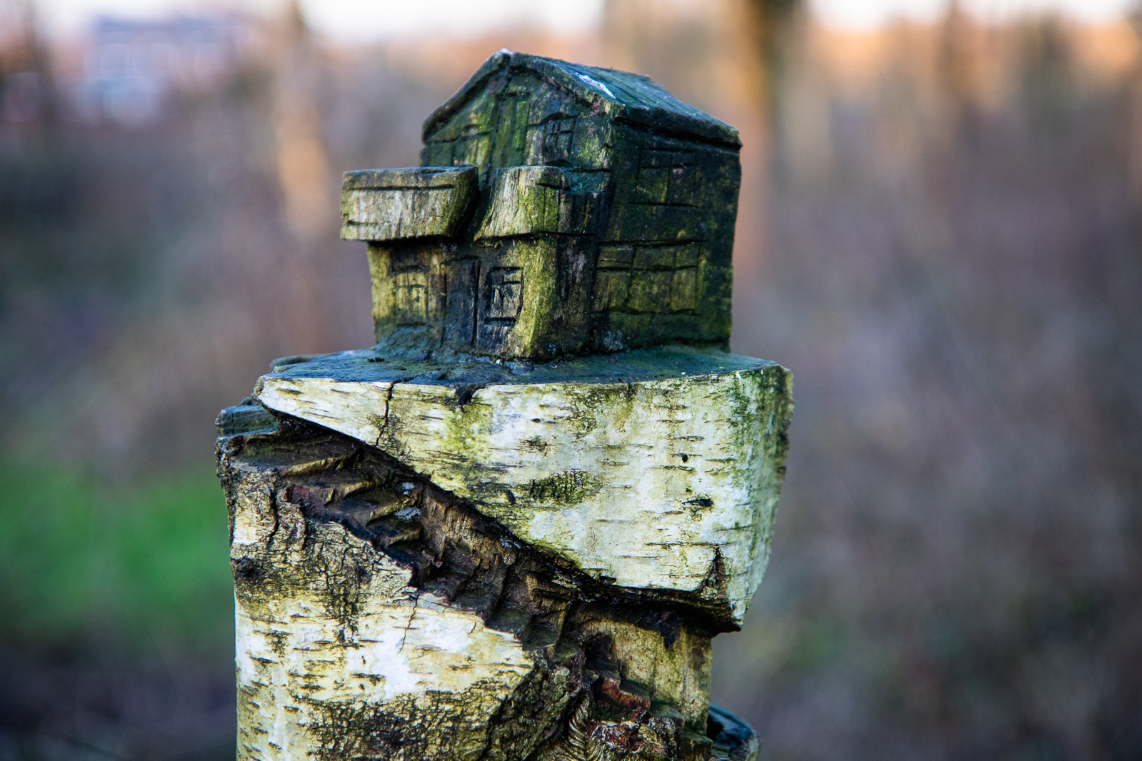 Spud Wood Fairy House