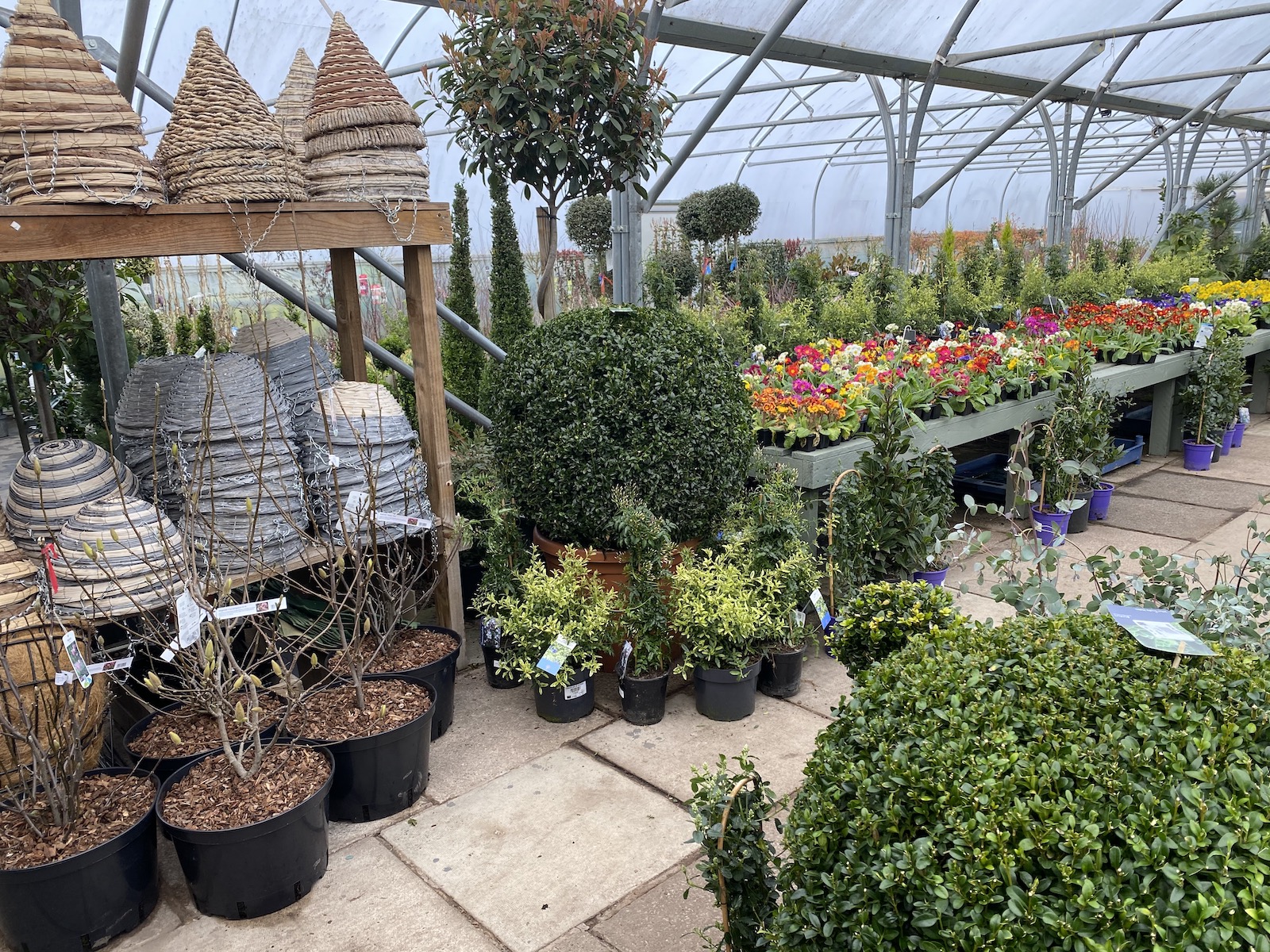 2021.03 Primrose Hill Nursery1