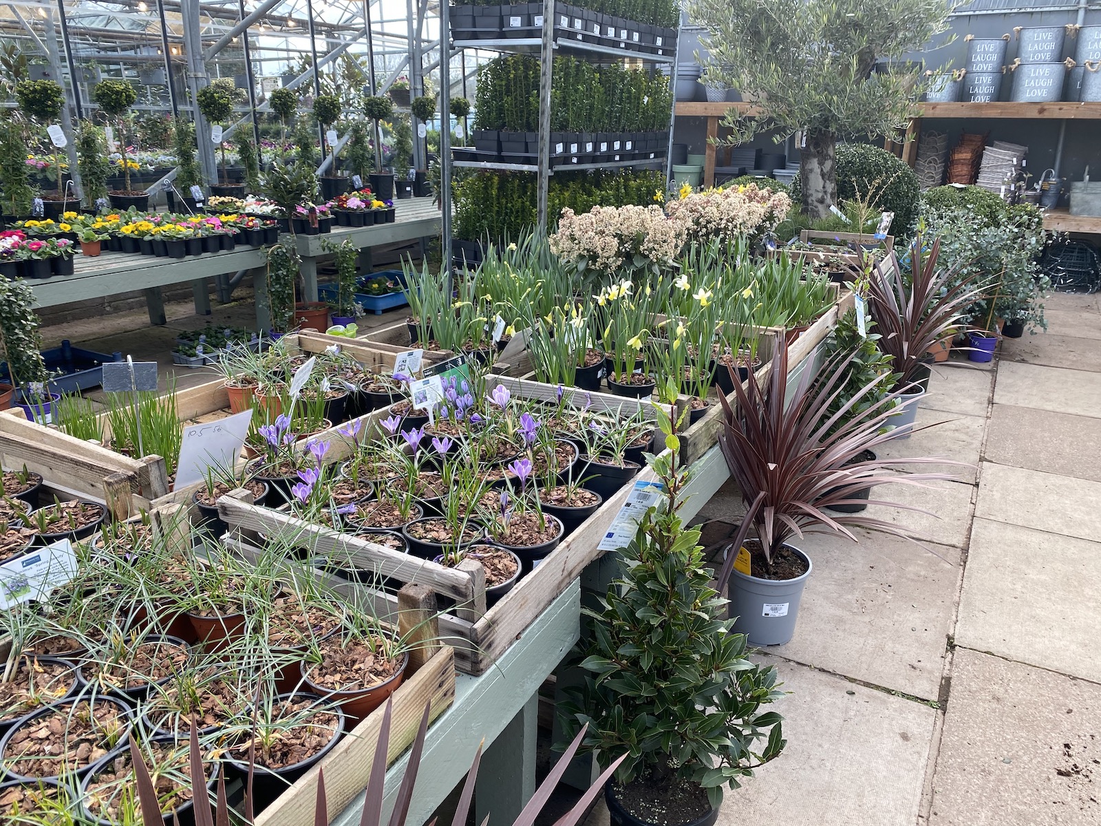 2021.03 Primrose Hill Nursery2