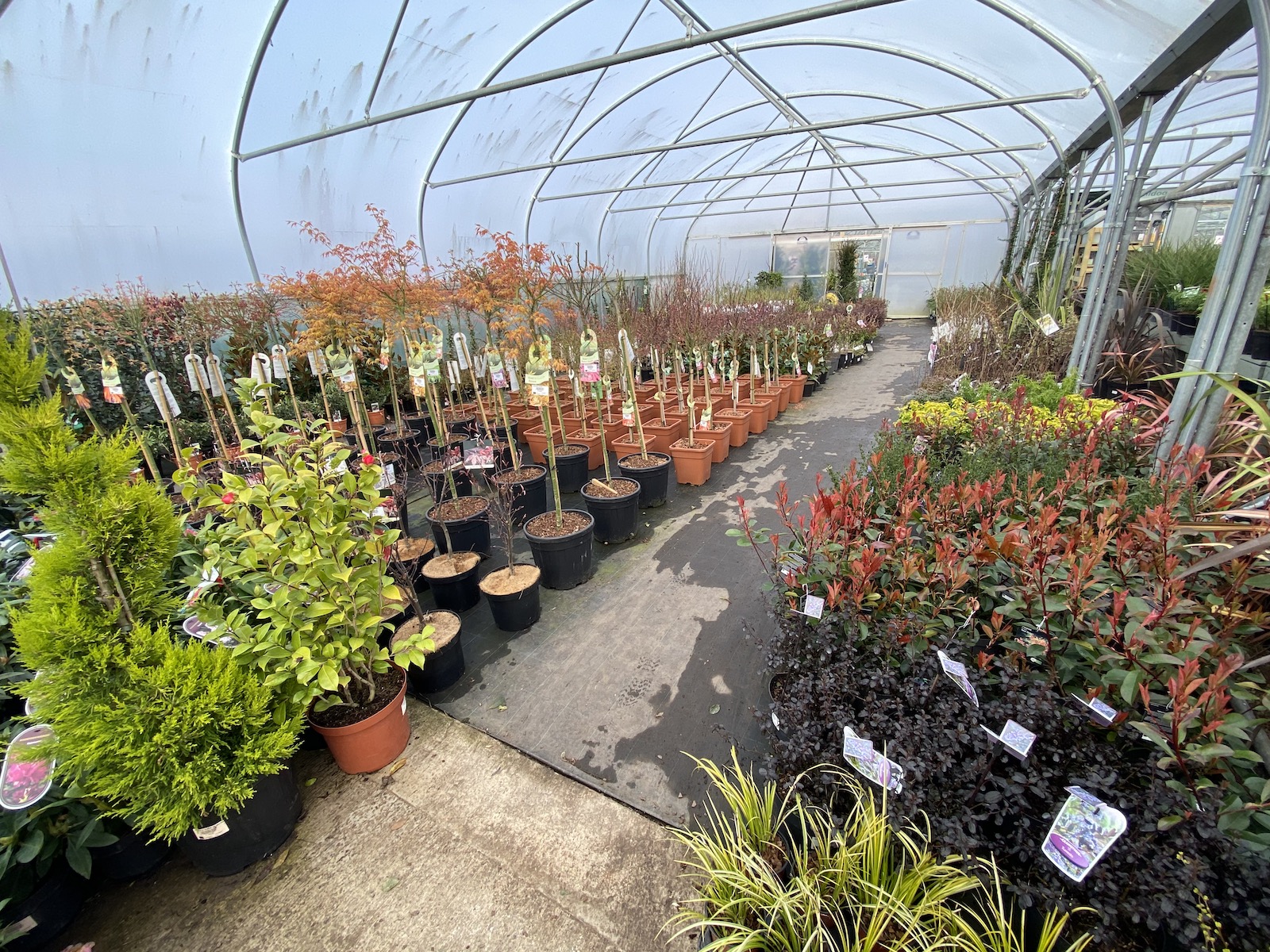 2021.03 Primrose Hill Nursery3