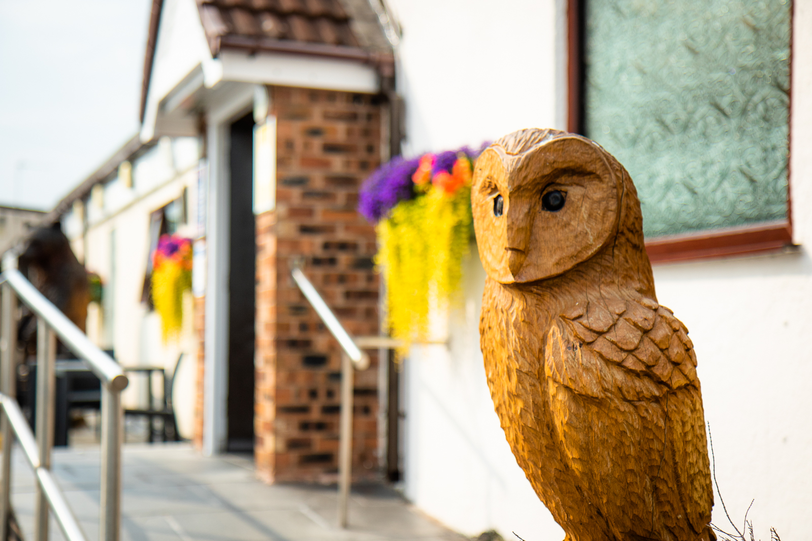 Barn Owl entrance