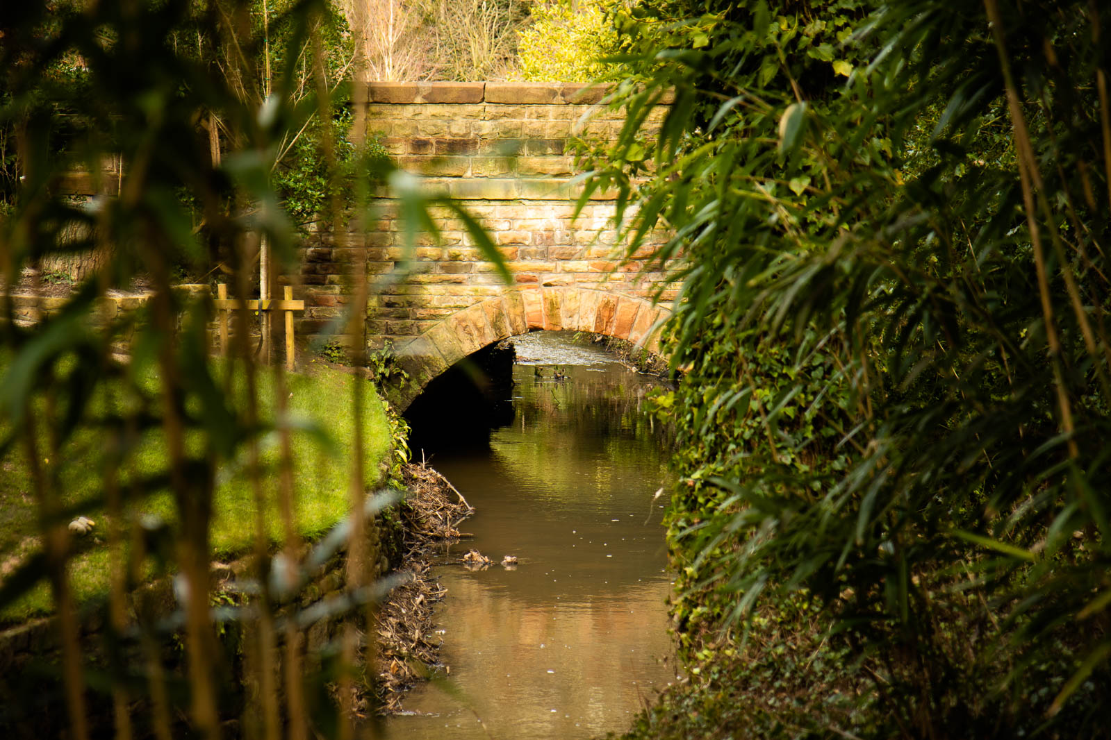 Slitton Gorge