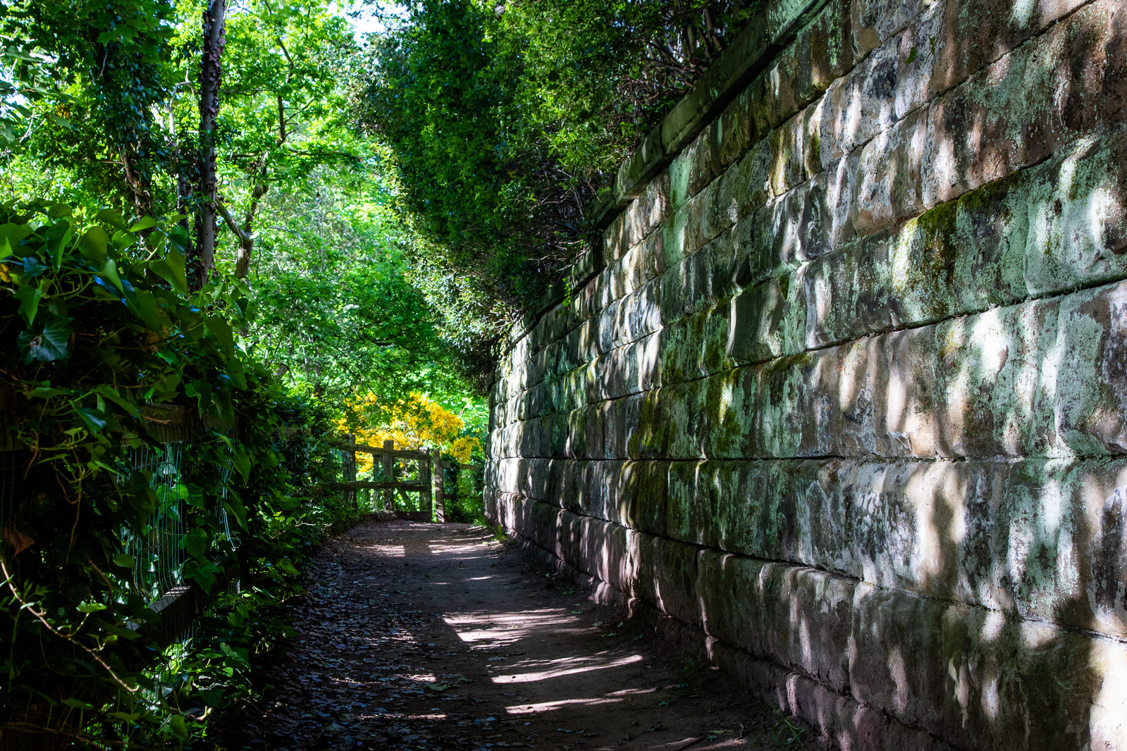 Lymm Dam western footpath from A56