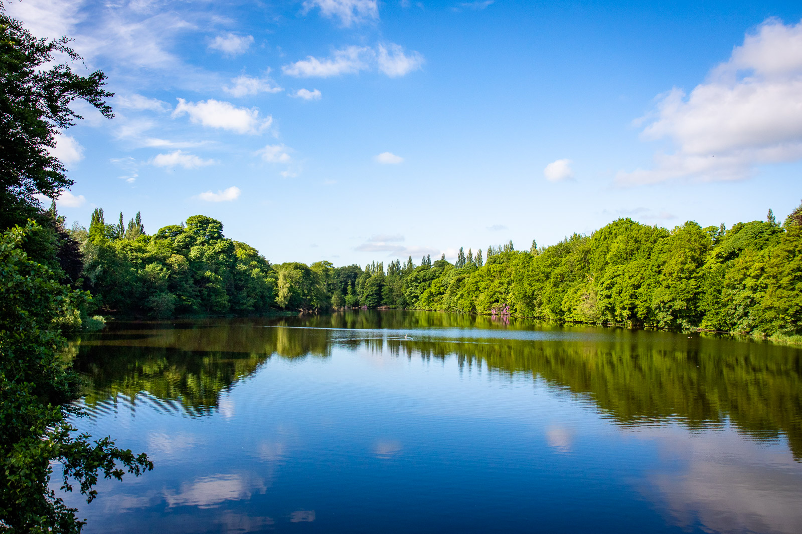 Lymm Dam from A56