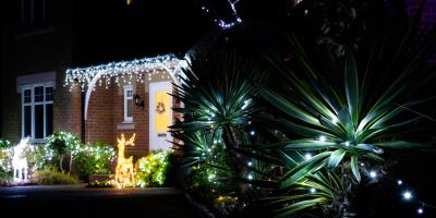 Christmas lights - The Seasons #1