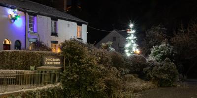 2022.12 Lower Dam Christmas Tree